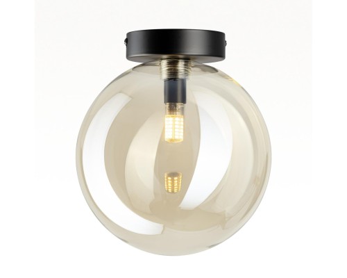 CL202512 ORTON Шампань Св-к Наст.-Потол