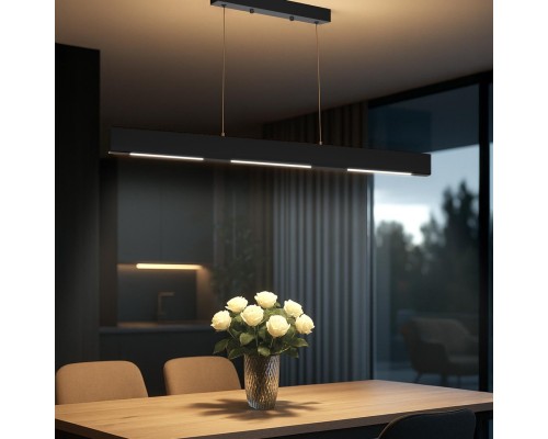 CL720031N EDGE-60 Черный Подвес