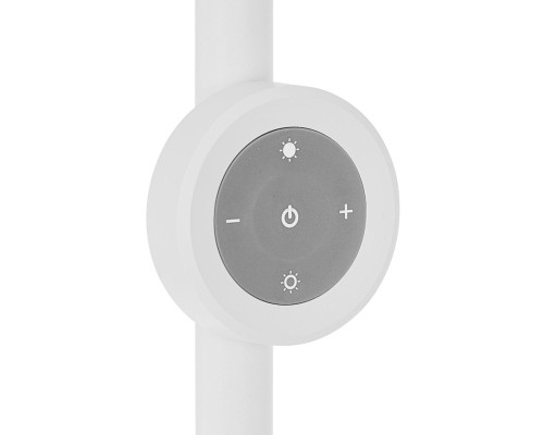 CL810030 LOONG RGB Белый Торшер