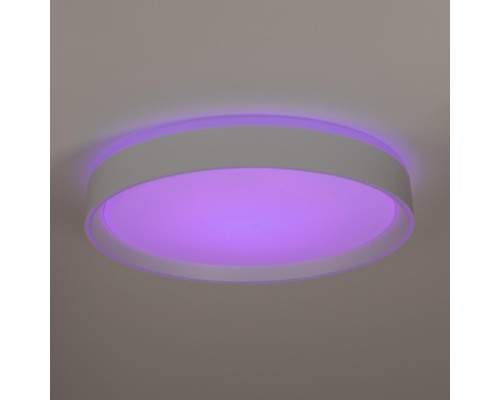 CL751350G BOSS Белый  LED Св-к с пультом