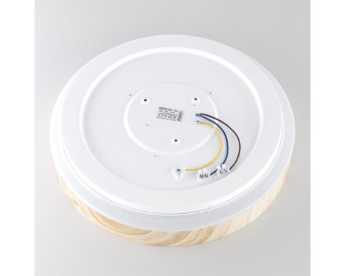 CL753352G ENZO Клен LED Св-к с пультом