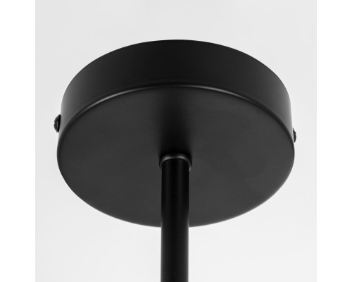 CL218163 FISHER Люстра