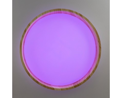 CL753352G ENZO Клен LED Св-к с пультом