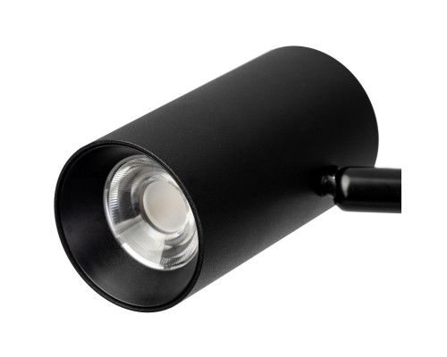 CL809011N Twin Черный Торшер