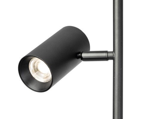 CL809011N Twin Черный Торшер