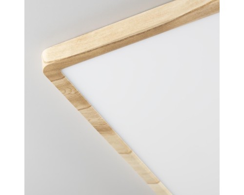 CL738K502V Бейсик Клен Св-к Накл. LED 50W*Мульти