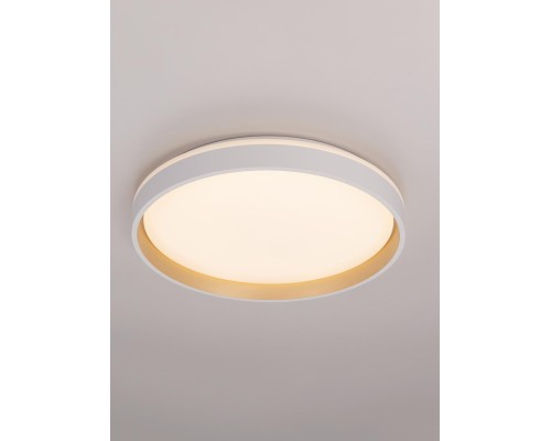 CL753450G ENZO Белый+Золото LED Св-к с пультом