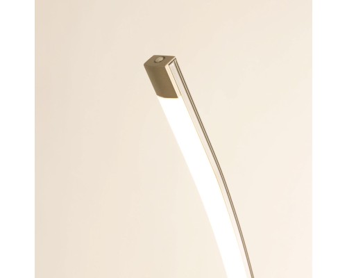 CL804031 Руди Хром Мат. Св-к Торшер