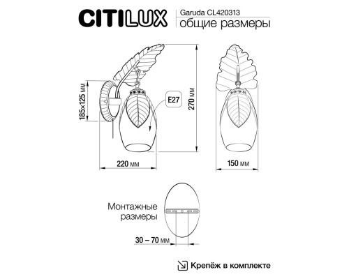 CL420313 Гаруда Бра
