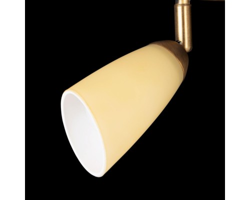 Потолочная люстра Citilux CL501163 белла