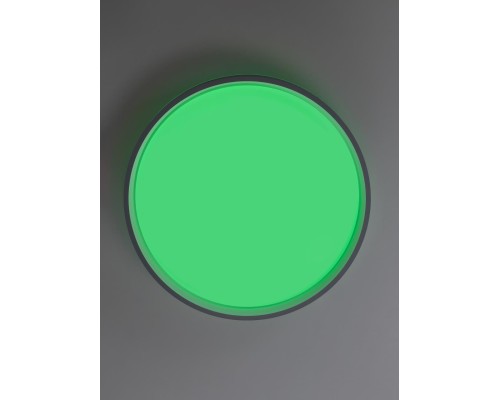 CL753453G ENZO Серый+Белый LED Св-к с пультом