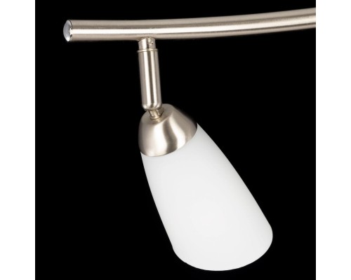 Потолочная люстра Citilux CL501161 белла