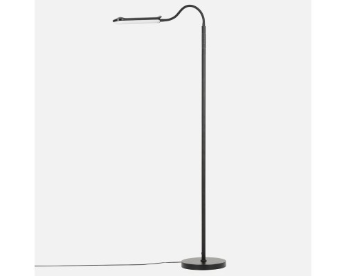 CL804051 Alex Черный торшер с пультом