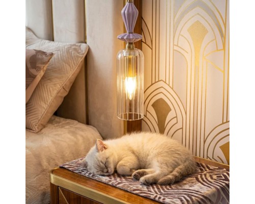 CL254010 FERNET Люстра