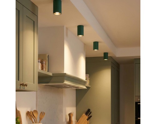 CL512115 AXEL Зеленый Св-к Потолочный