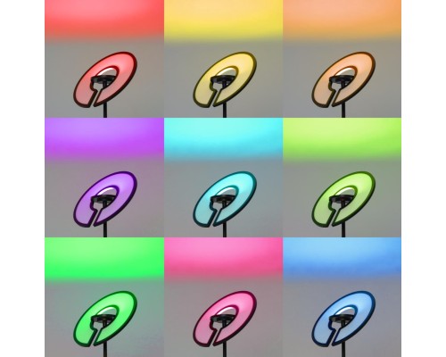 CL810031 LOONG RGB Черный Торшер