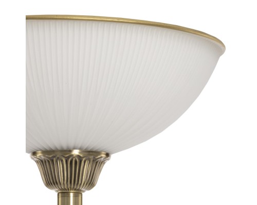 CL405913 Адриана Торшер