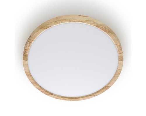 CL738242V Бейсик Клен Св-к Накл. LED 24W*Мульти