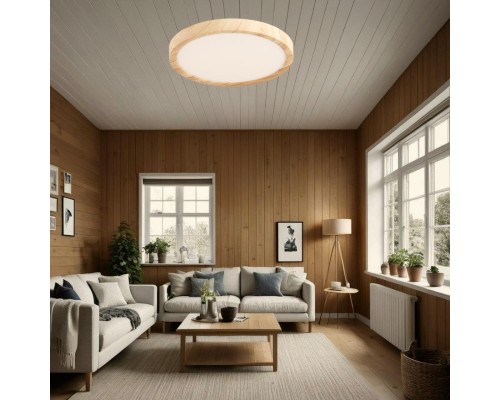 CL738182V Бейсик Клен Св-к Накл. LED 18W*Мульти