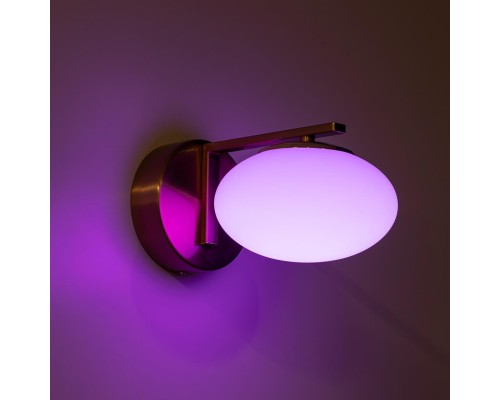 CL226B313 ATMAN Смарт Бронза Бра