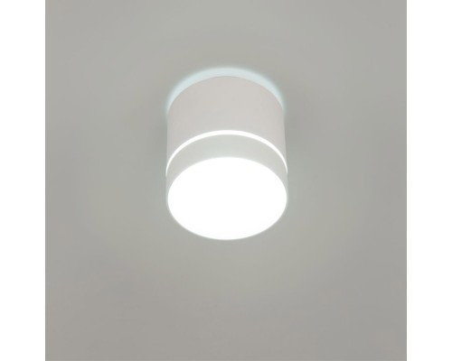 CL745020N Борн Белый Св-к Потол. 12W*4000K