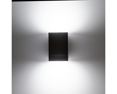 Уличный настенный светильник светодиодный двухсторонний Citilux CLU0002 2*6Вт 4000К IP54