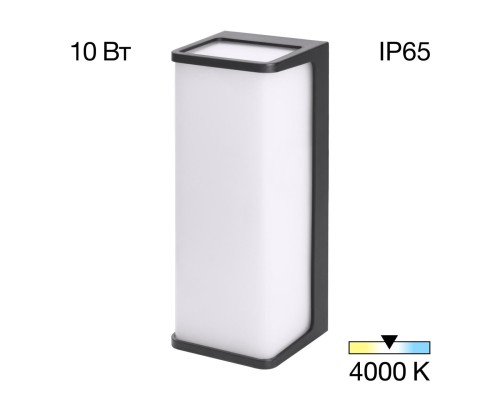 CLU0802 DOMUS Черный Св-к Настенный