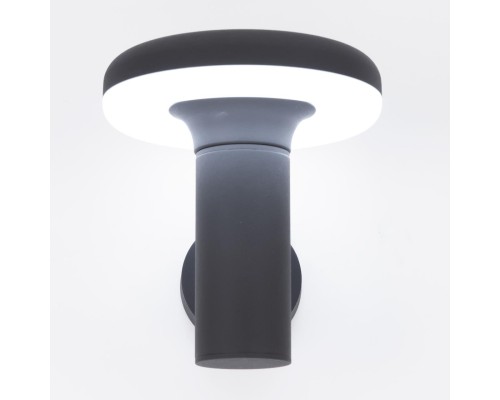 Уличный настенный светодиодный светильник Citilux CLU01W 6Вт 4000К