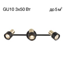 CL505631 SAT Черный+Зол. Св-к Наст.-Потол.
