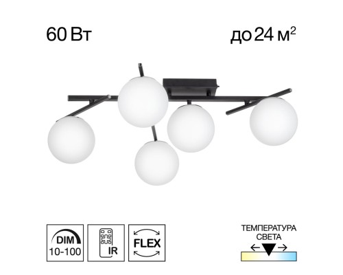 CL223152 DORSY Черный Люстра