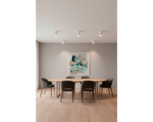 Светильник потолочный Crystal Lux CLT 084C WH