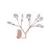 Бра Crystal Lux EVITA AP9 COPPER/TRANSPARENT