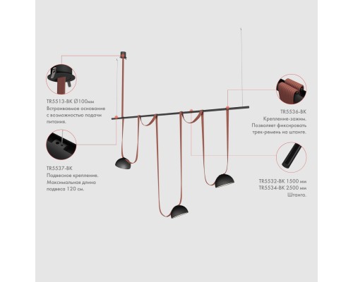 TR5537-BK Подвес для штанги серия Rod H200-1200мм, IP20, черный, сталь
