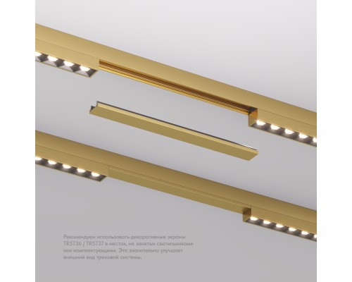 TR5736-SB Декоративная заглушка желоба трека SHINE BASE, 20см, сатинированная латунь, алюминий