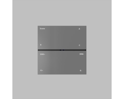 DK7201-DG Накладная настенная панель управления для светильников Air 3000-5000K, серия Control, IP20, CR2032 3V x 2, темно-серый, пластик