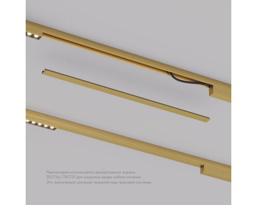 TR5737-SB Декоративная заглушка желоба трека, 50см, для трека Shine, серия Base, сатинированная латунь, алюминий
