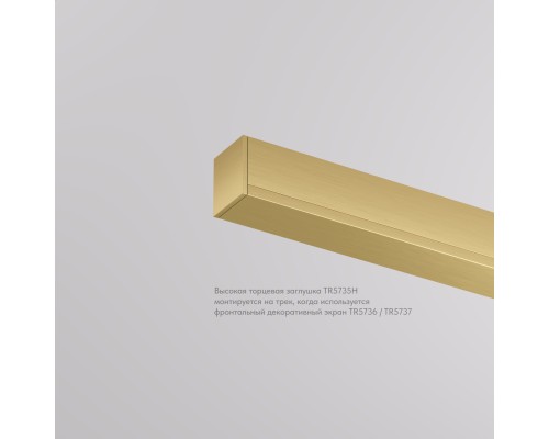 TR5735H-SB Торцевая заглушка, высокая, для использования с экраном, для трека Shine, серия Base, комплект 2 шт, сатинированная латунь, алюминий