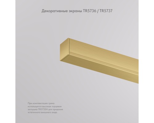 TR5737-SB Декоративная заглушка желоба трека, 50см, для трека Shine, серия Base, сатинированная латунь, алюминий