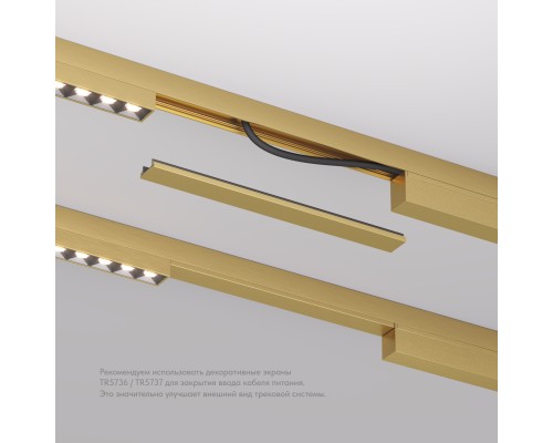 TR5736-SB Декоративная заглушка желоба трека SHINE BASE, 20см, сатинированная латунь, алюминий