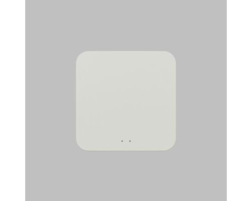 DK7402-WF Конвертер WiFi-Zigbee/BLE для умного дома, пластик, белый