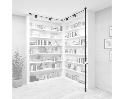 Комплект ременной трековой системы Belty