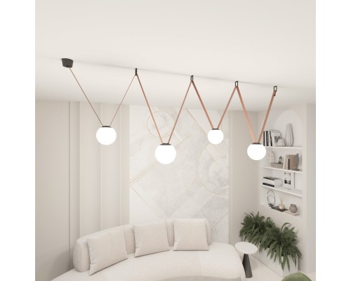 Комплект ременной трековой системы Belty