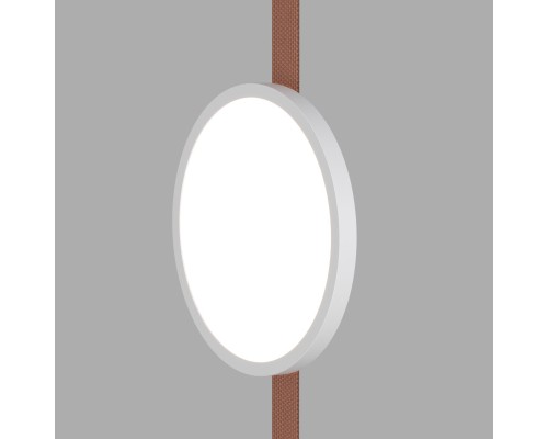 DK5566-WH+BK Cветильник для трека-ремня Belty, серия Flow, со светодиодом, D168*H29.5мм, 48V DC, 10W, RA90, 120°, 4000K, IP20, белый с черным, алюминий