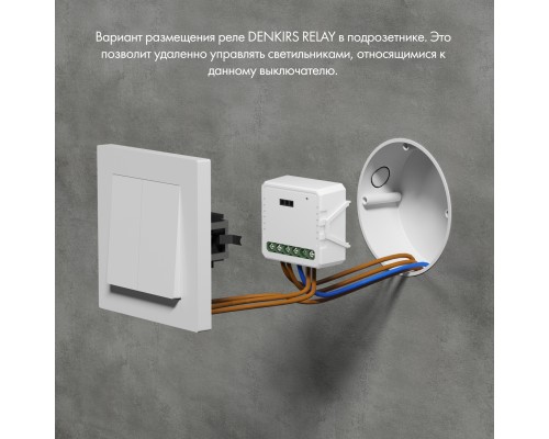 RL1001-SM Одноканальное Wi-Fi реле-выключатель 1 x 2300 Вт / 250 Вт для LED
