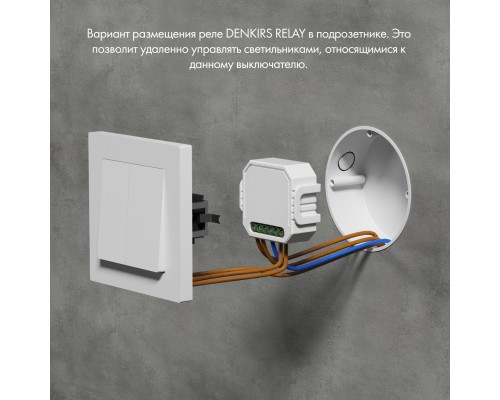 RL1004-DM/1 Двухканальное Wi-Fi реле-диммер 2 x 100 Вт