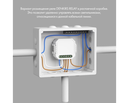 RL1004-DM/1 Двухканальное Wi-Fi реле-диммер 2 x 100 Вт