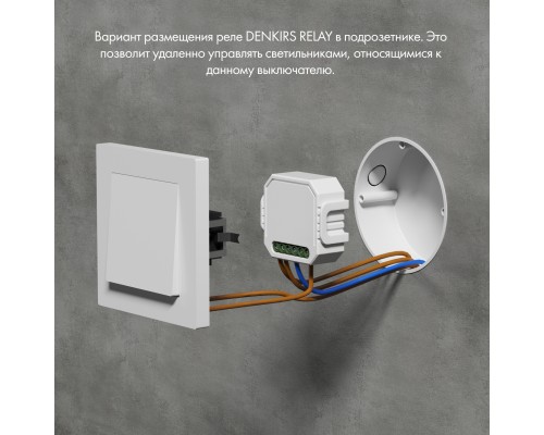 RL1003-DM/1 Одноканальное Wi-Fi реле-диммер 1 x 150 Вт
