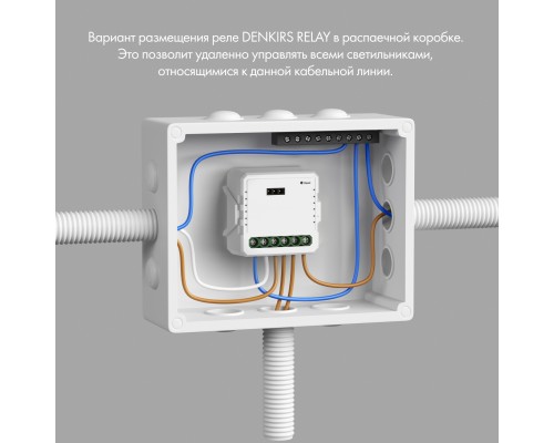 RL1001-SM Одноканальное Wi-Fi реле-выключатель 1 x 2300 Вт / 250 Вт для LED