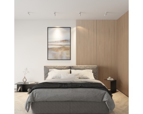 DK2029-WH Светильник накладной IP 20, 50 Вт, GU10, белый, алюминий