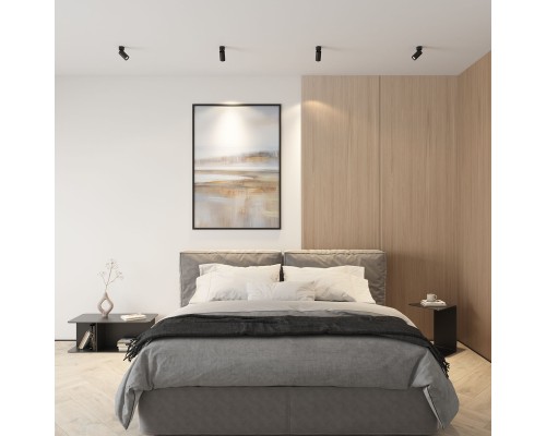 DK2029-BK Светильник накладной IP 20, 50 Вт, GU10, черный, алюминий